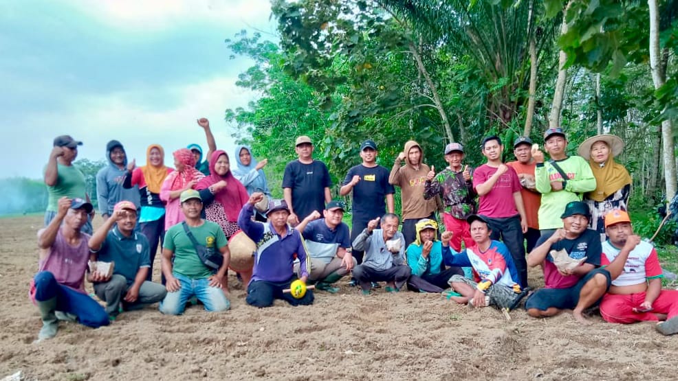 Tanam Jagung